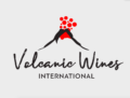Logo volcanic